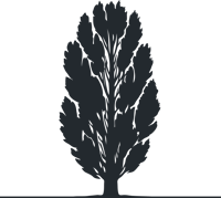 PT_Tree